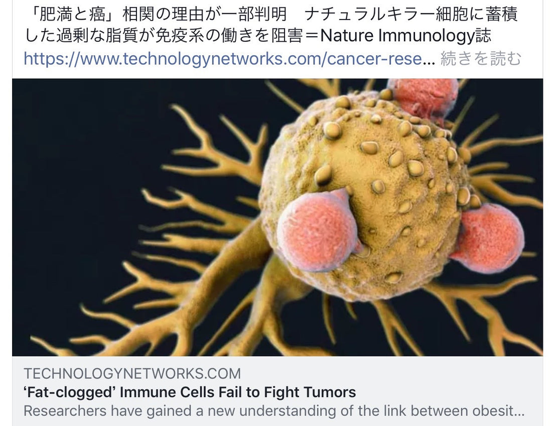 「肥満とガン」ナチュラルキラー細胞を妨害!