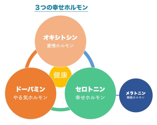 3つの幸せホルモン、オキシトシン