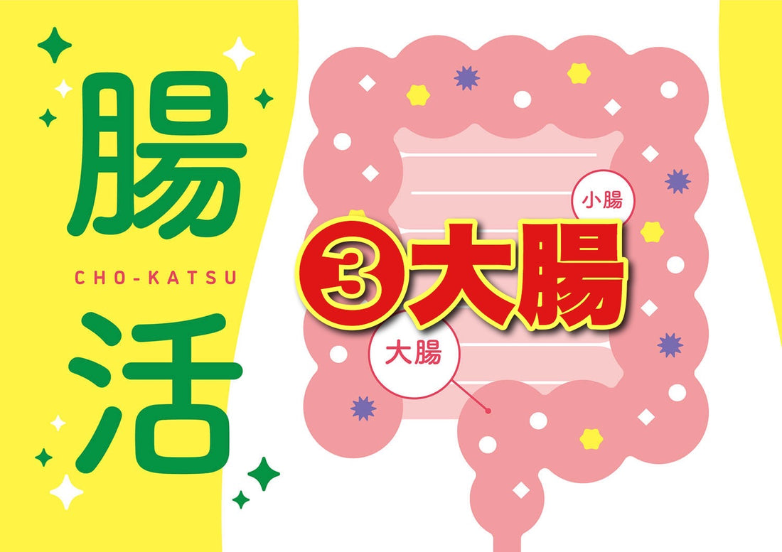 腸活と大腸と免疫力(善玉菌、日和見菌、悪玉菌)
