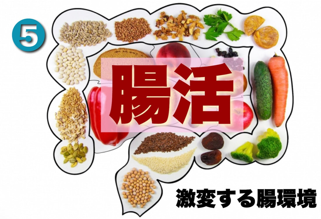 腸活ー激変する腸環境