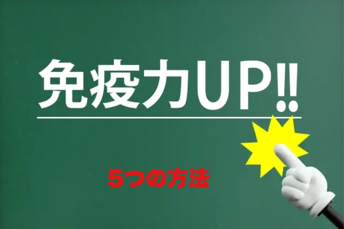 免疫力を高める5つの方法