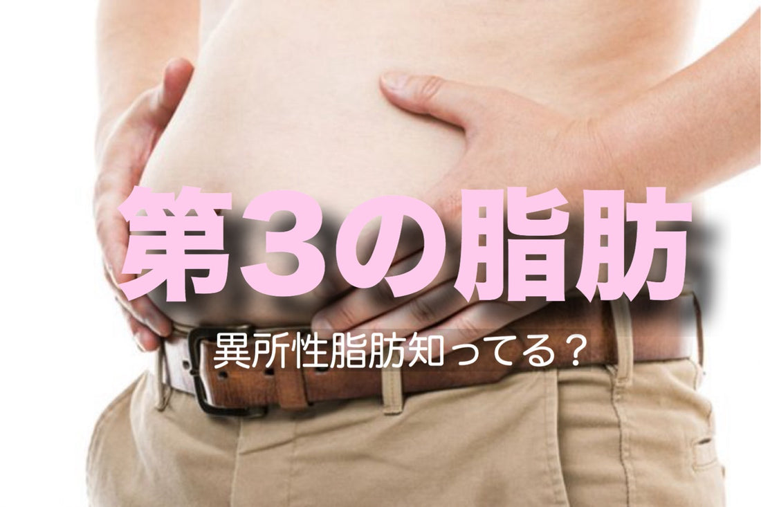 第3の脂肪ー異所性脂肪・・知ってますか?