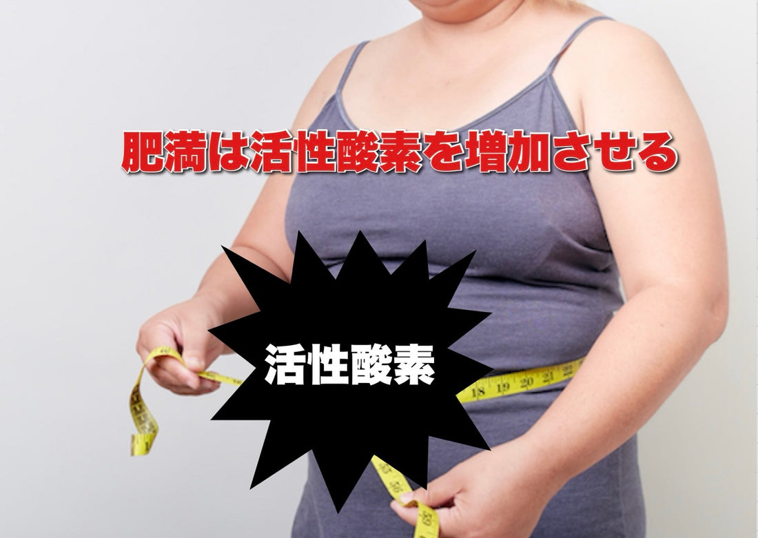 活性酸素と肥満