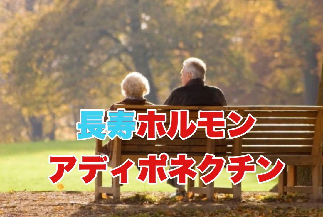 長寿ホルモン・アディポネクチン