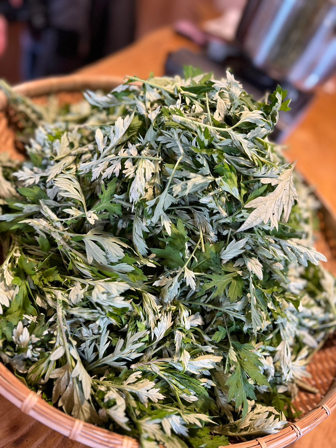 天然美容よもぎオイル作り