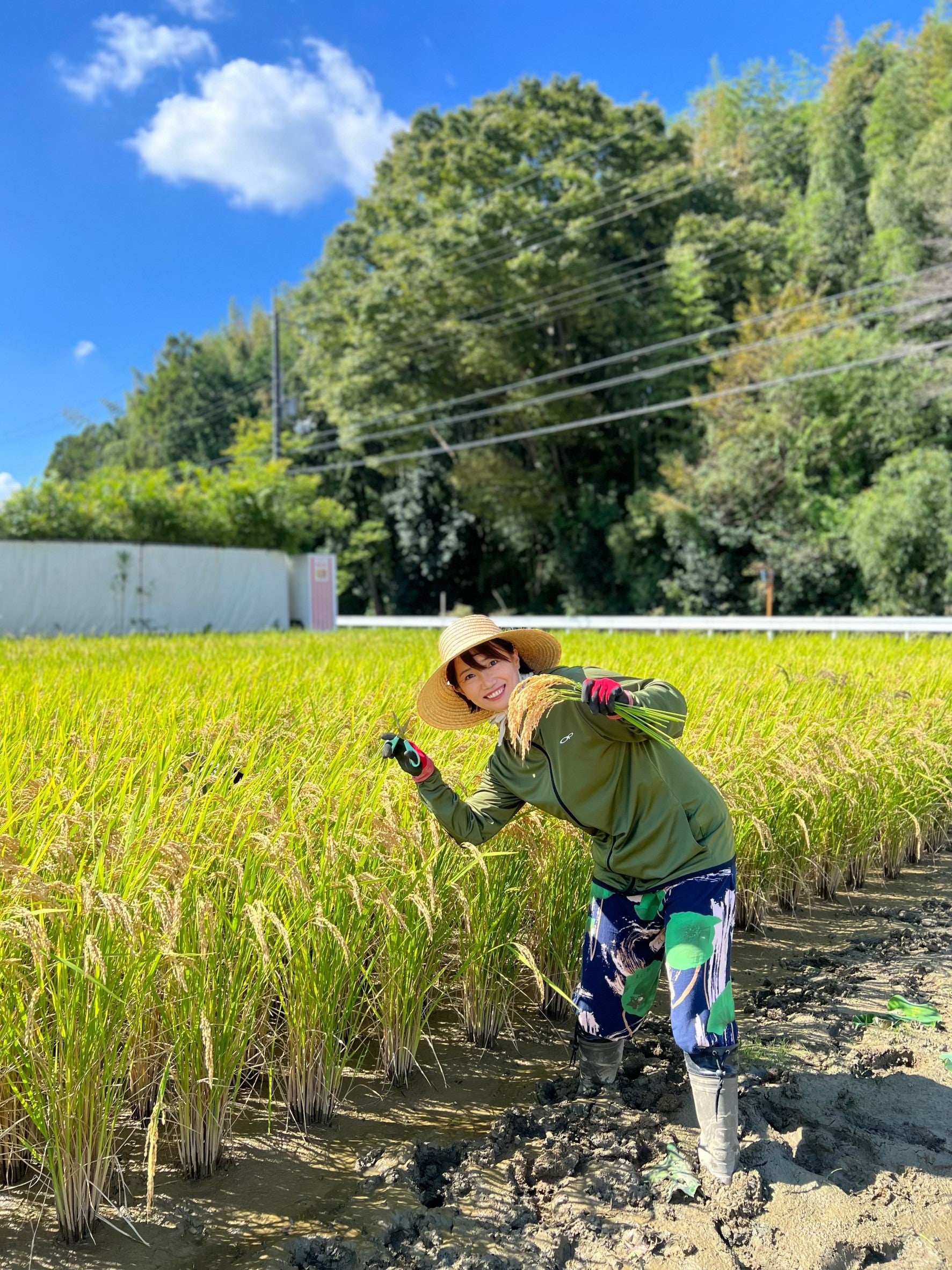 今年も種取り作業からスタート!