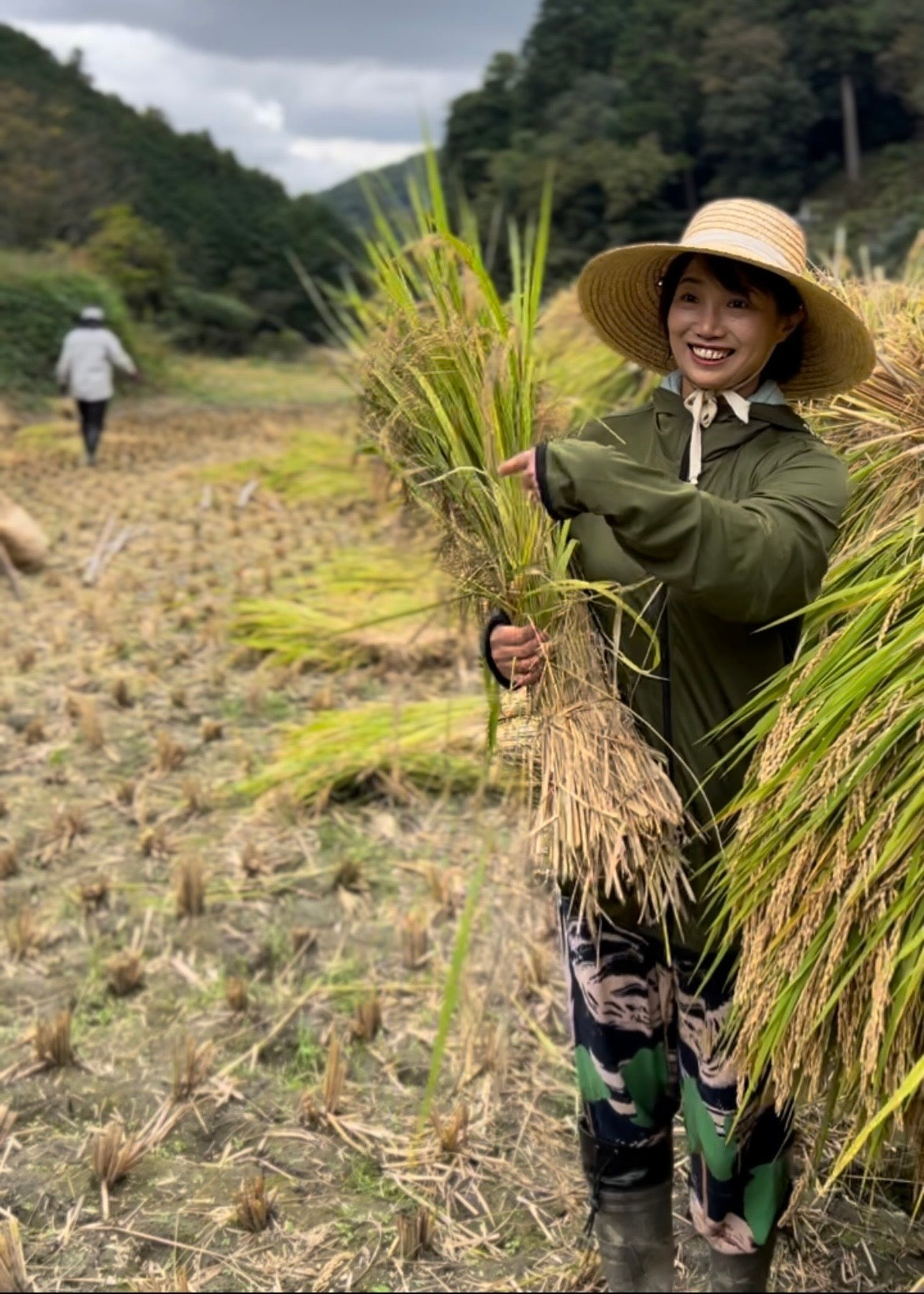 棚田米の稲刈り真っ只中!