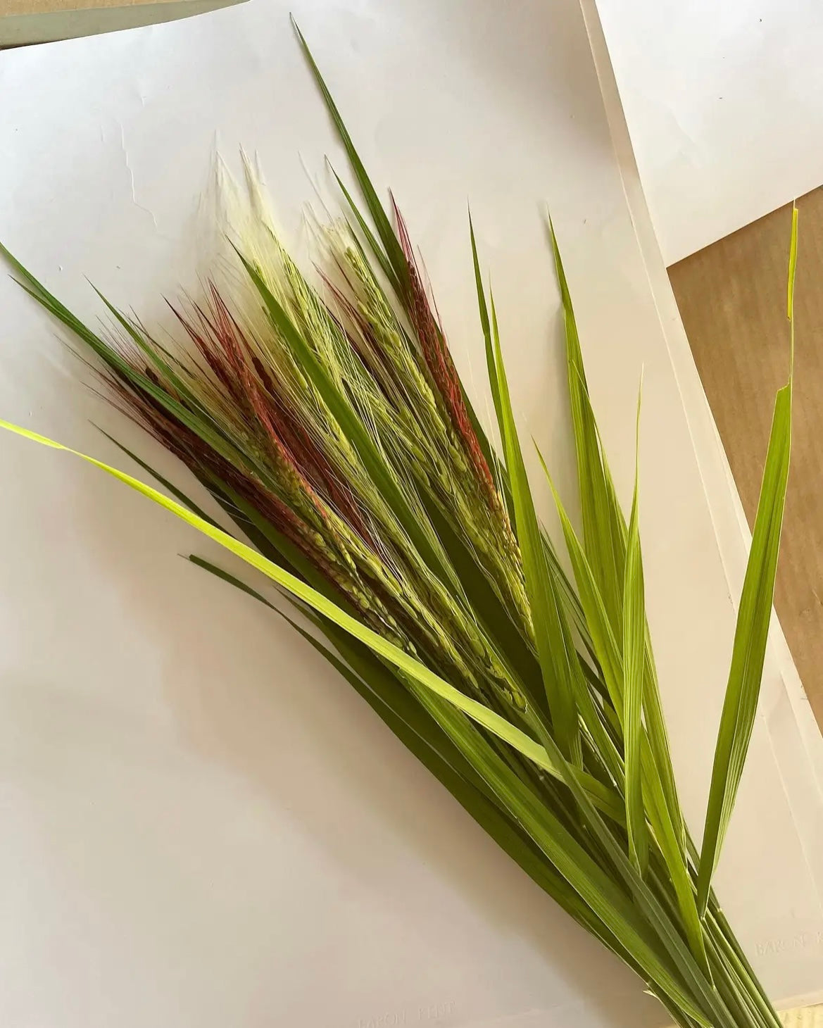 【今年も大好評につき、10束限定】9月この時期しか手に入らない!古代米ドライフラワー花束(特典プレゼントあり!)