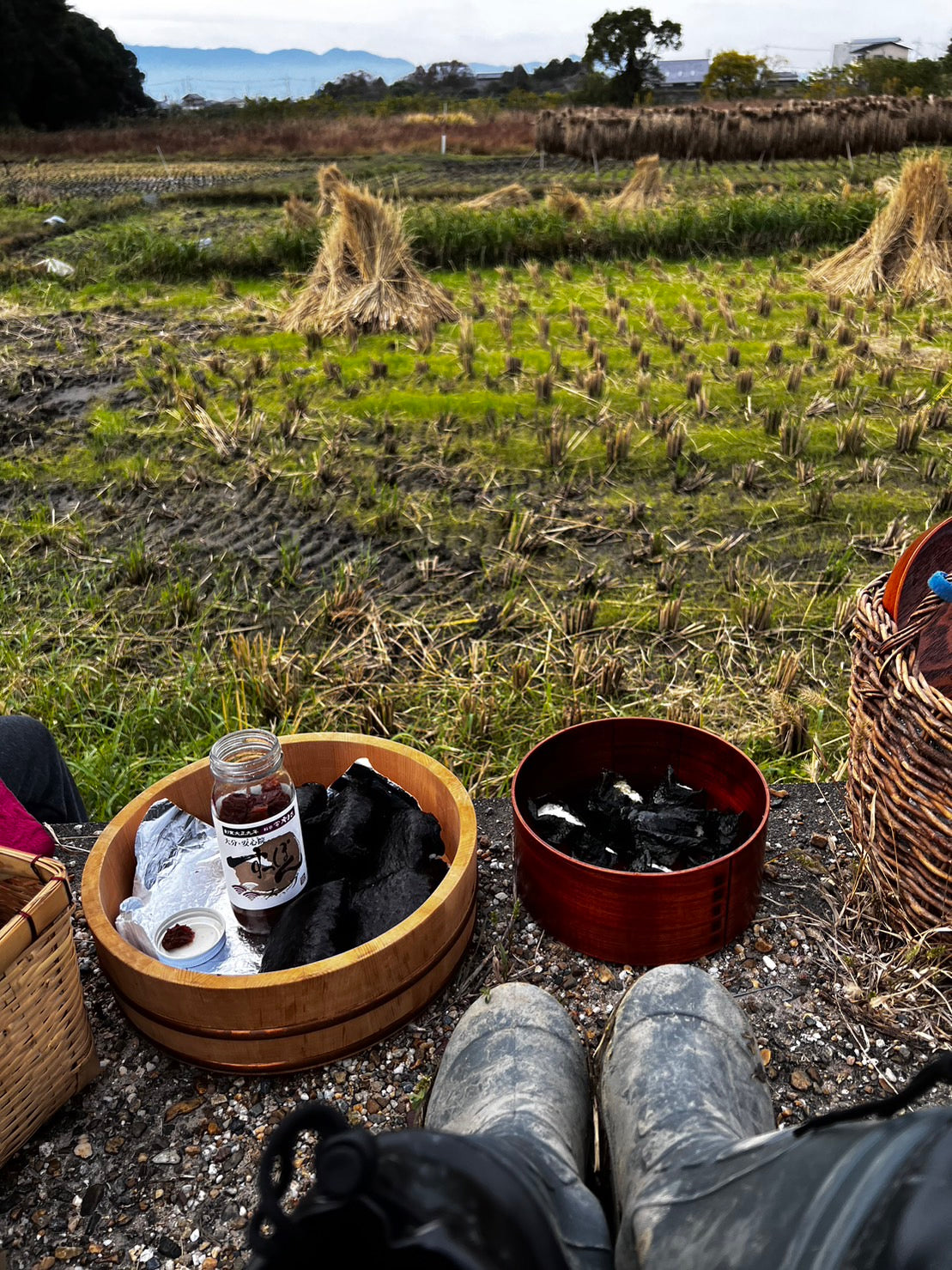 【30%OFFキャンペーン中】古代三色玄米1キロ 自然農法天日干し玄米