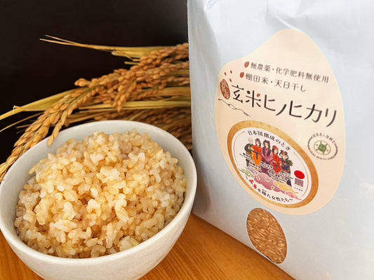 【30%OFFキャンペーン中】稲渕棚田&天日干し玄米(ヒノヒカリ)2キロ&5キロ&10キロ&5キロ定期便(10%OFF)