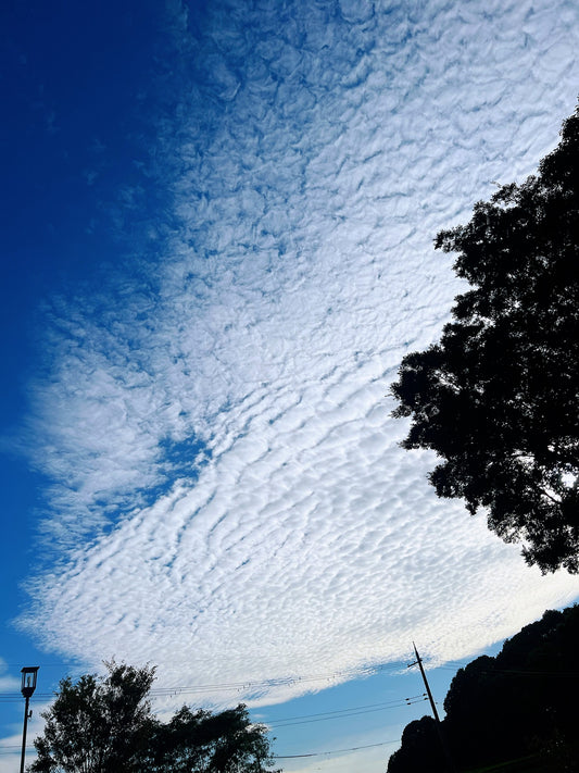 飛鳥の秋空が美しい
