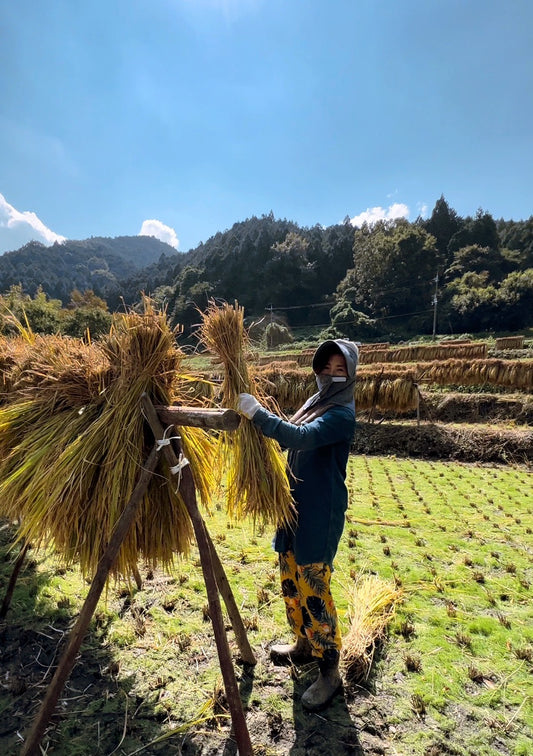 今年も美味しいお米ができました！