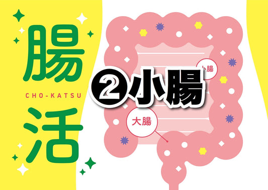 腸活と小腸と免疫力