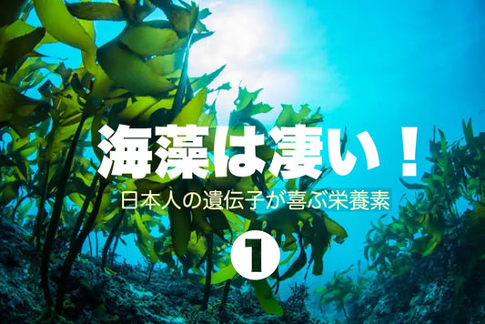 海藻は凄い！①