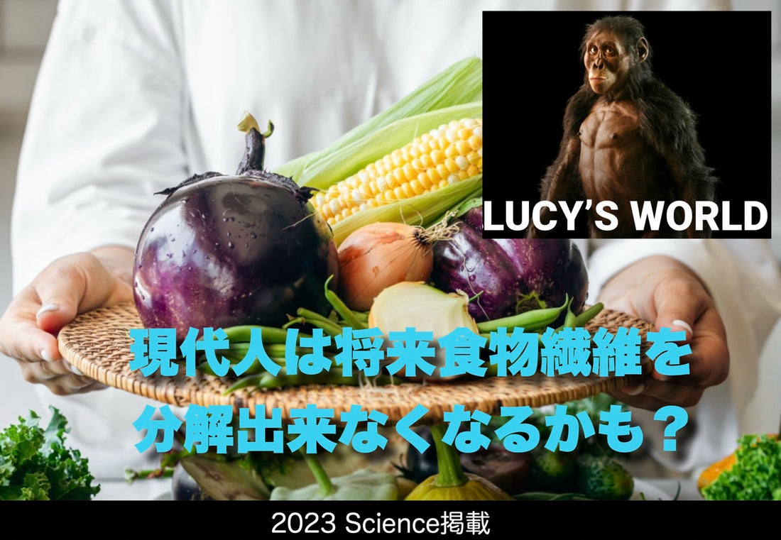 将来、食物繊維が分解出来なくなるかも？