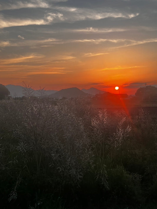 5月の燃えるような太陽を見つめながら