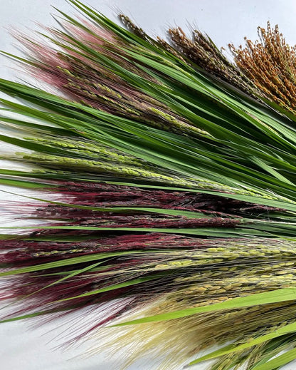 【今年も大好評につき、10束限定】9月この時期しか手に入らない！古代米ドライフラワー花束（特典プレゼントあり！）