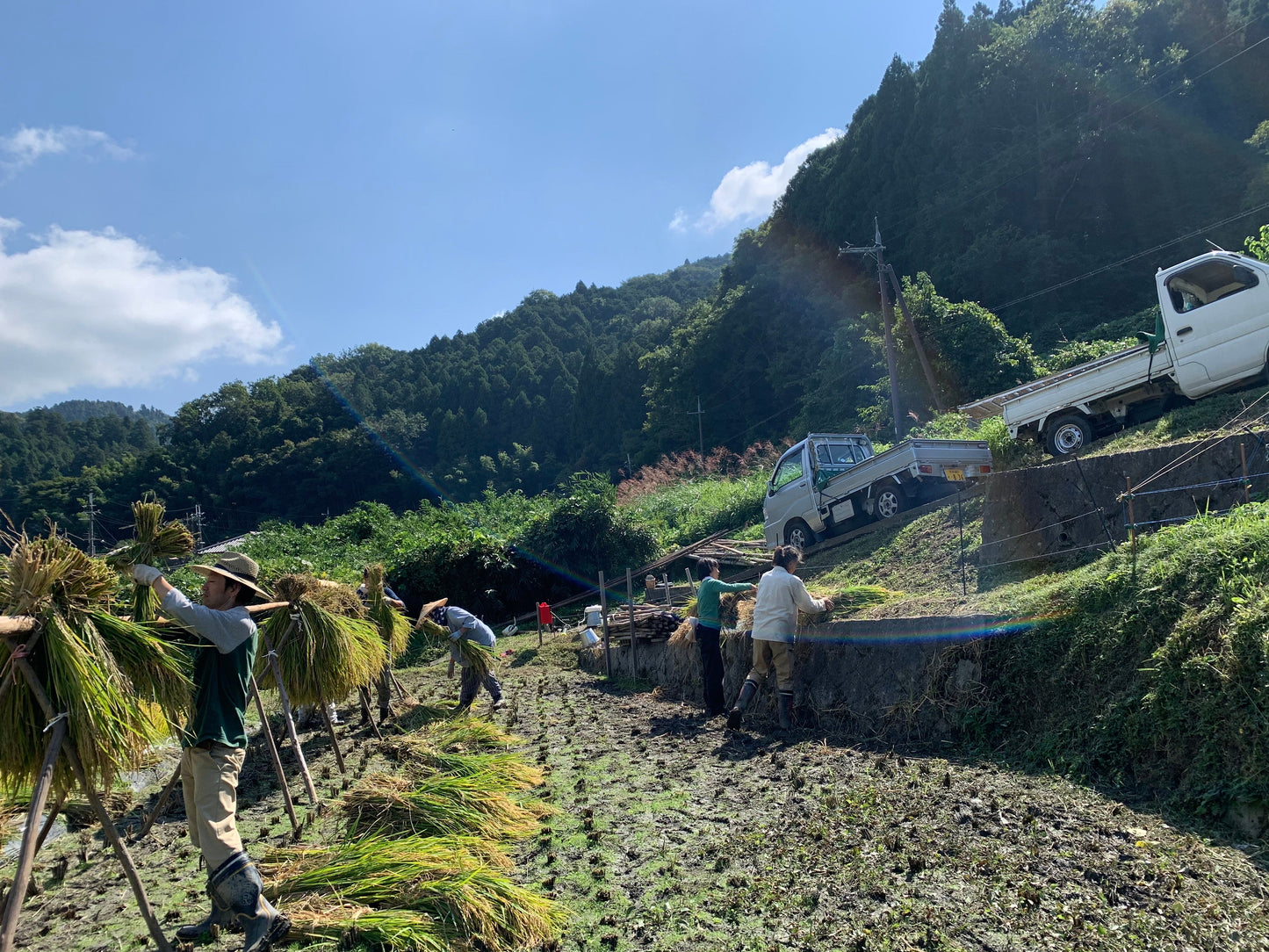 飛鳥産自然農法「古代三色発酵玄米」2食入パック