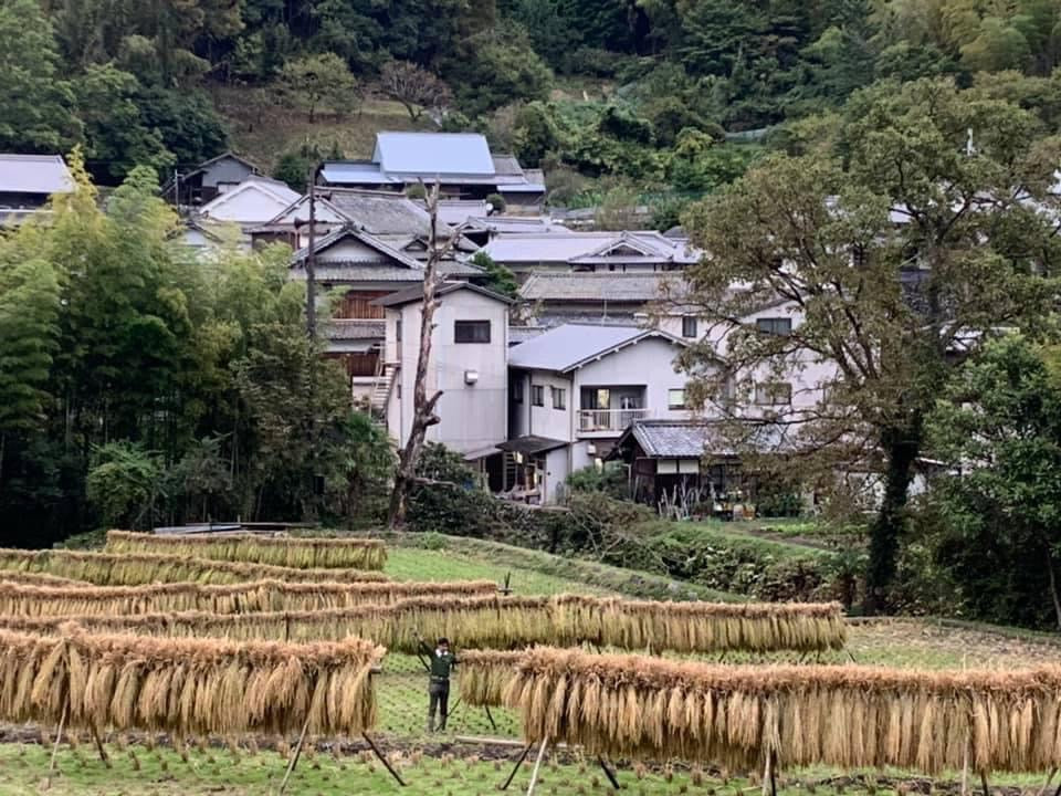 飛鳥産自然農法「天日干し玄米半生麺」2食入パック